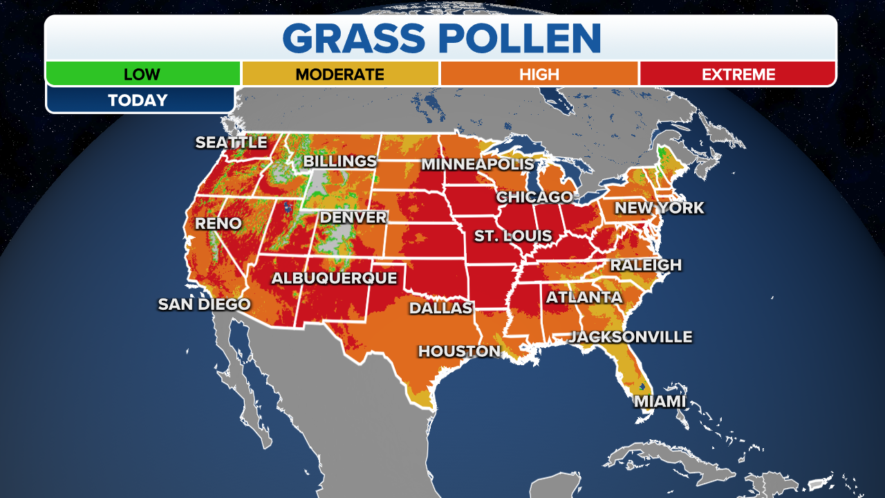 Allergy Sufferers You Might Be Cleaning Your House All Wrong Fox Weather Allergy Sufferers You Might Be Cleaning Your House All Wrong Fox Weather